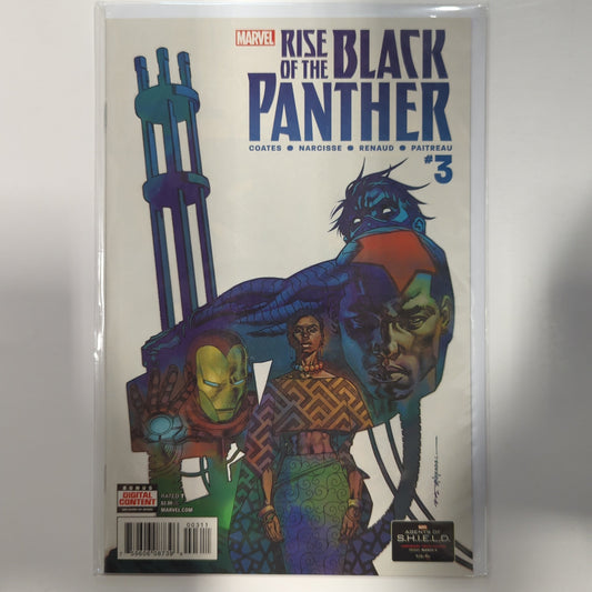 Rise of the Black Panther #3