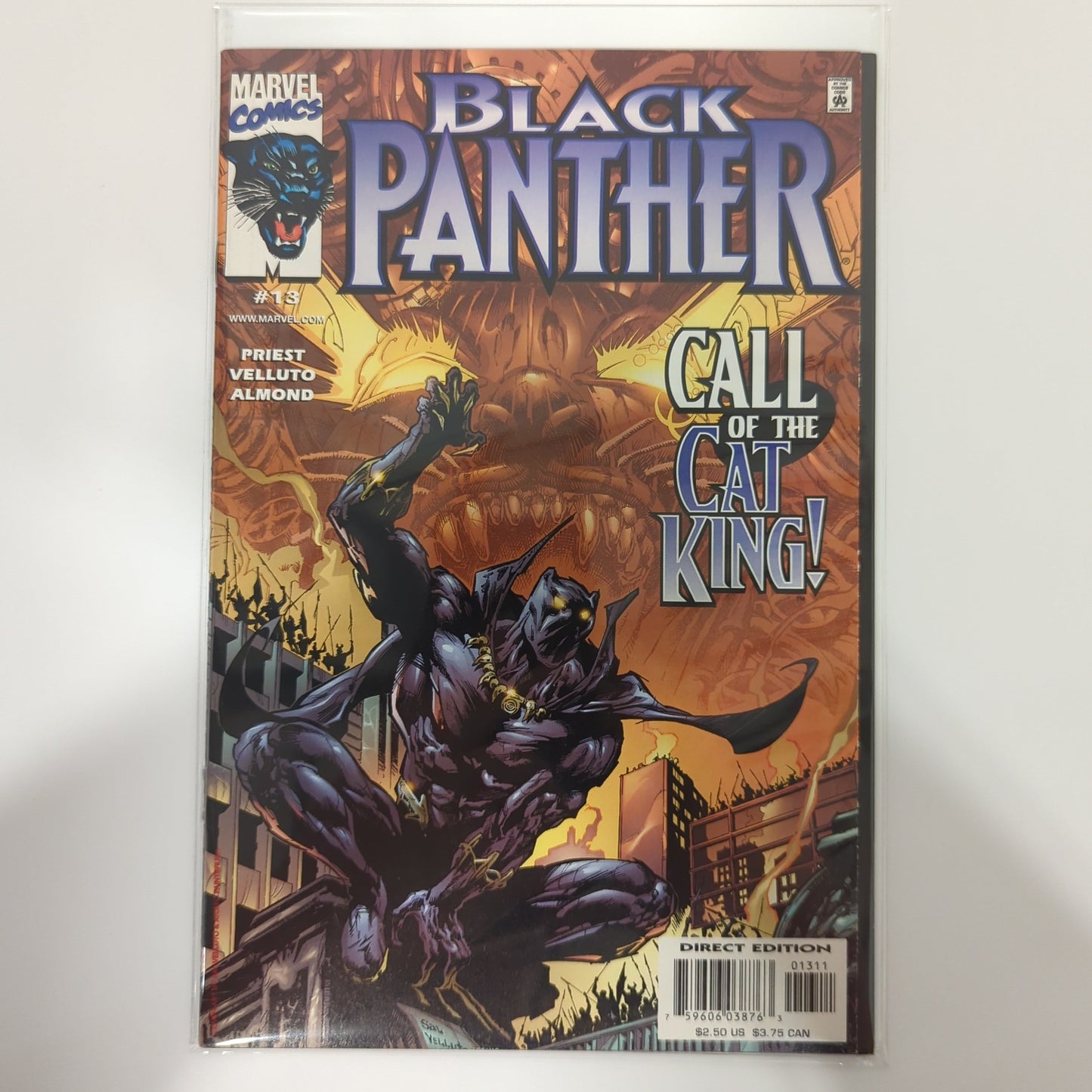 Black Panther #13