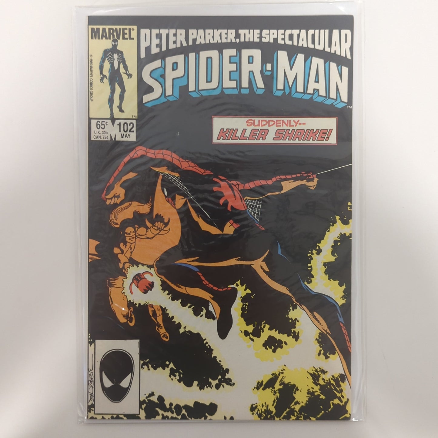 Peter Parker The Spectacular Spider-Man #102
