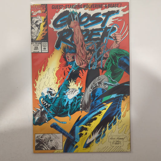 Ghost Rider #29