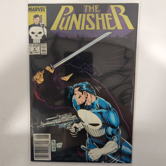 The Punisher #9 Newsstand