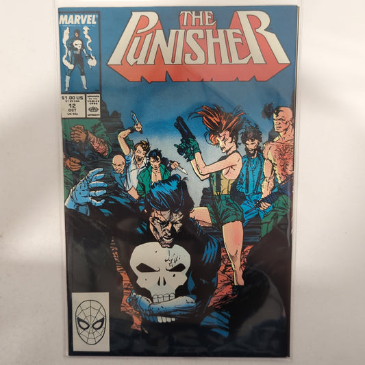 The Punisher #12
