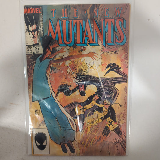 The New Mutants #27