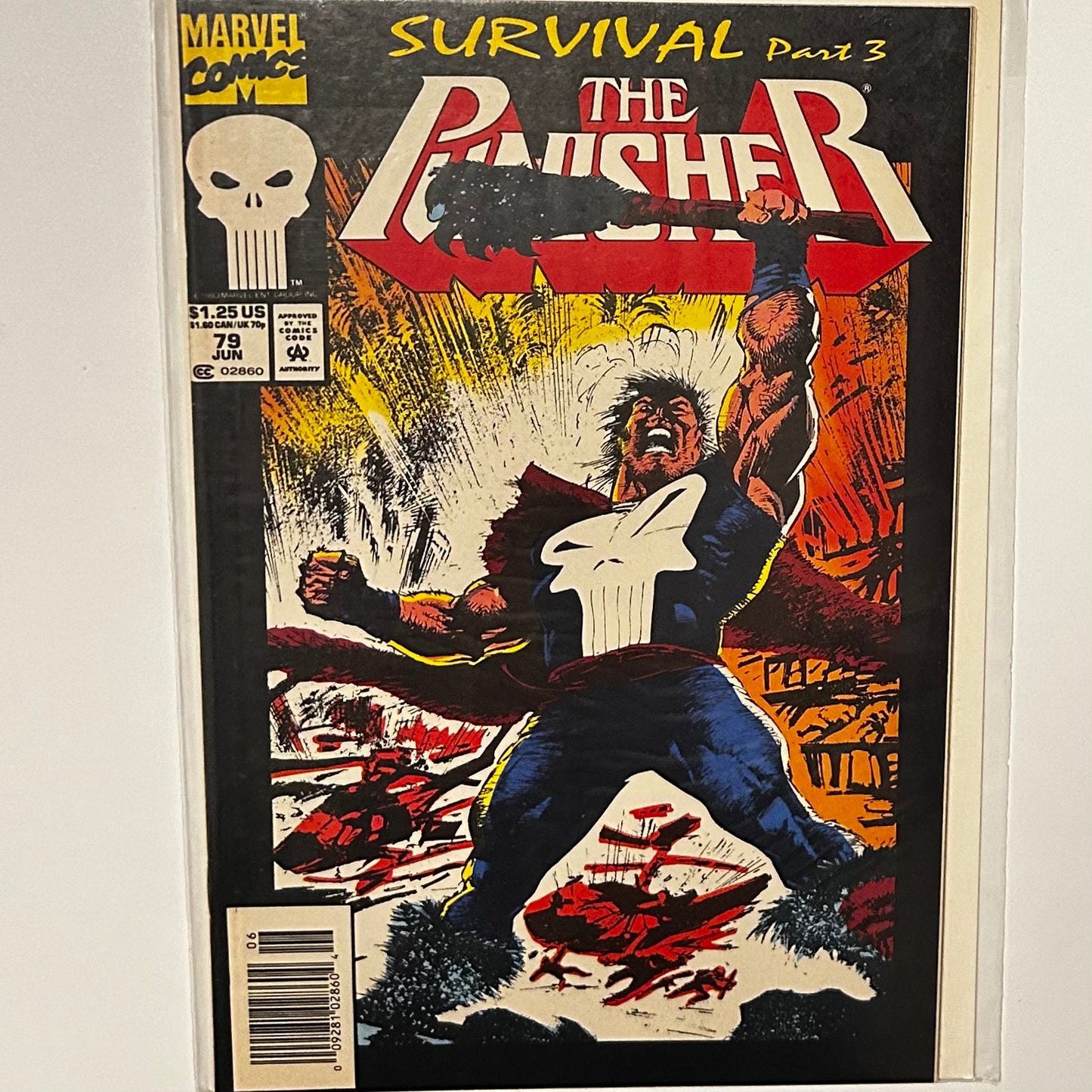 The Punisher #79 Newsstand