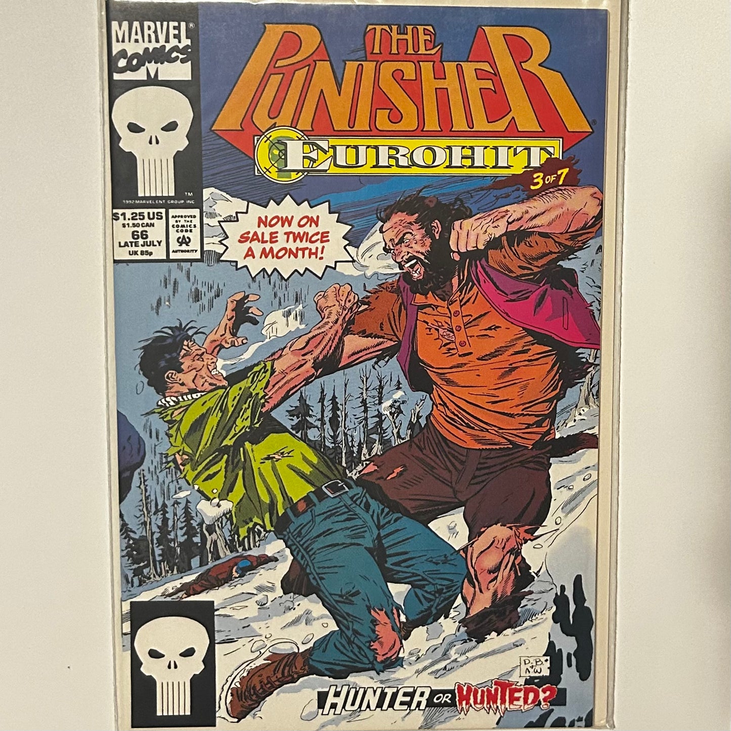 The Punisher #66