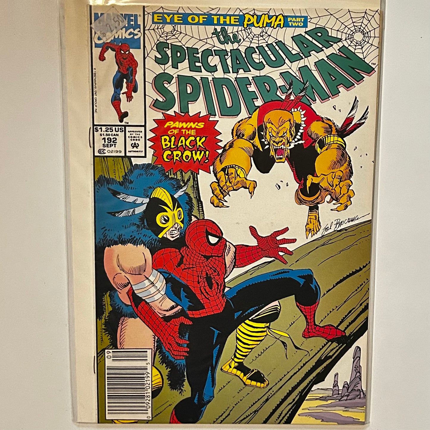 The Spectacular Spider-Man #192 Newsstand