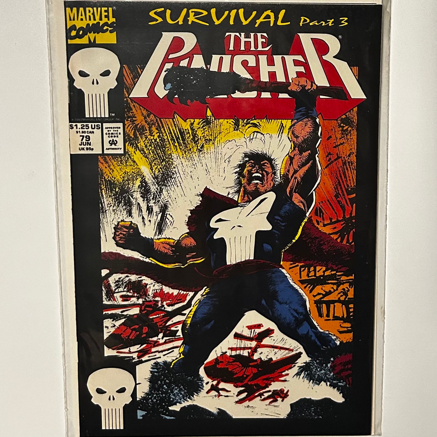 The Punisher #79