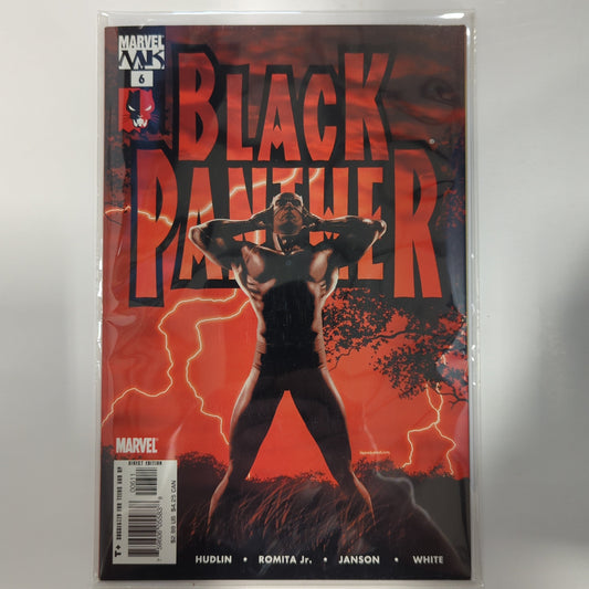 Black Panther #6