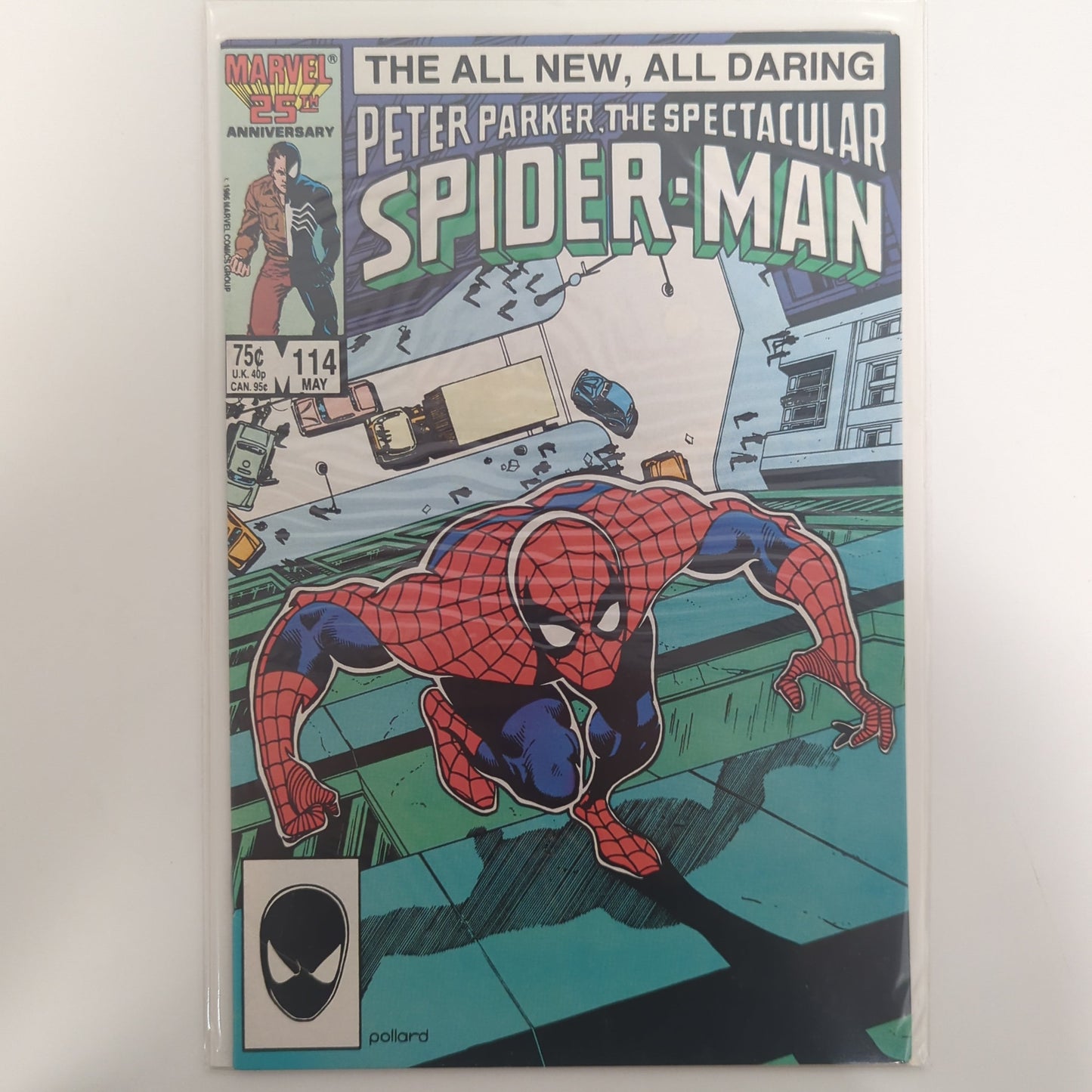 Peter Parker The Spectacular Spider-Man #114