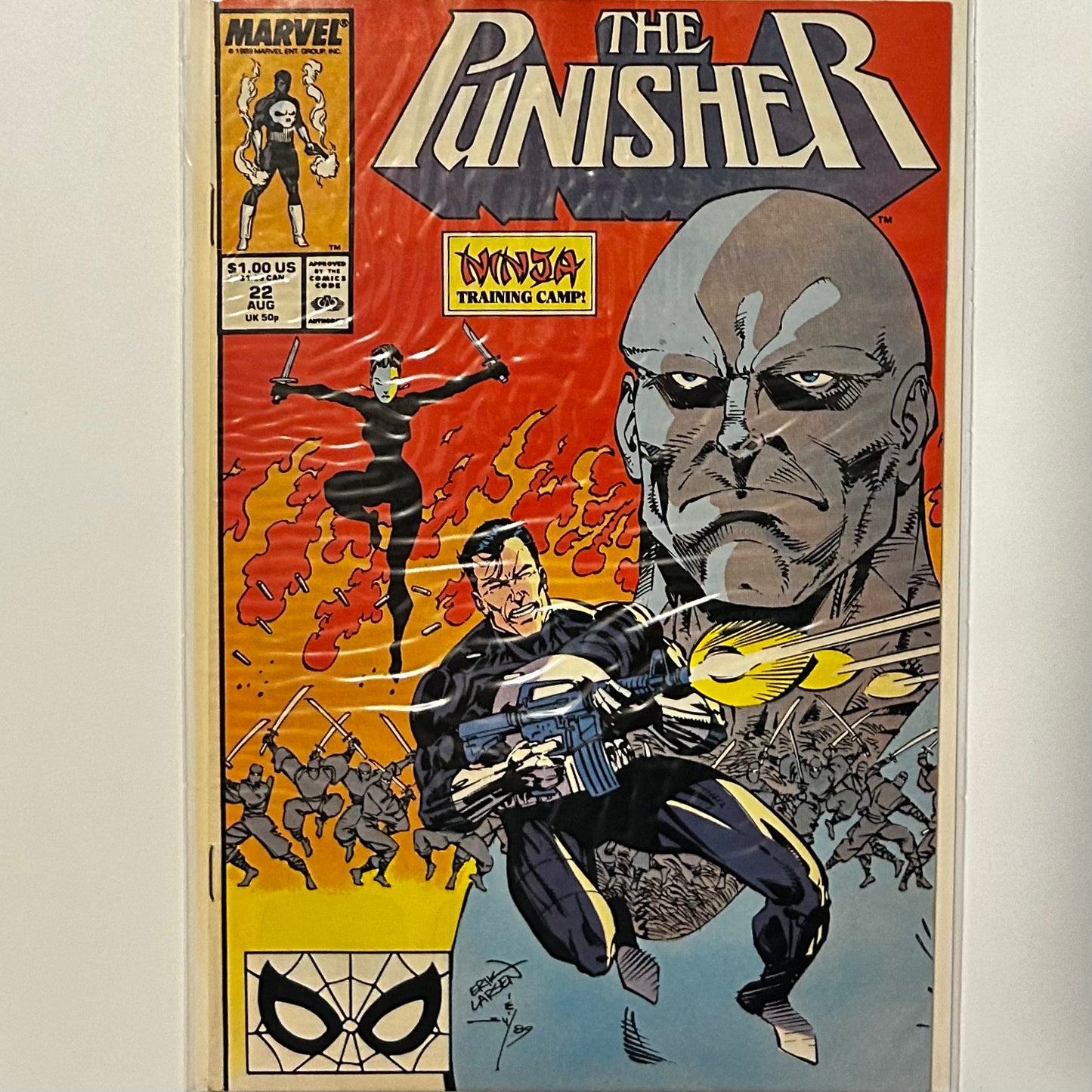 The Punisher #22