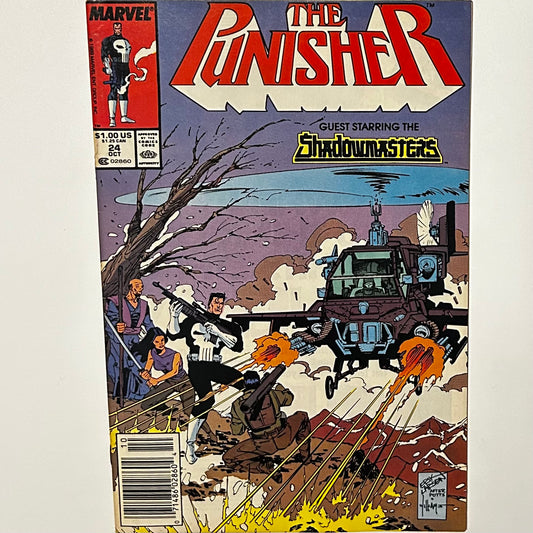 The Punisher #24 Newsstand