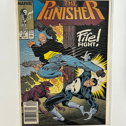 The Punisher #23 Newsstand