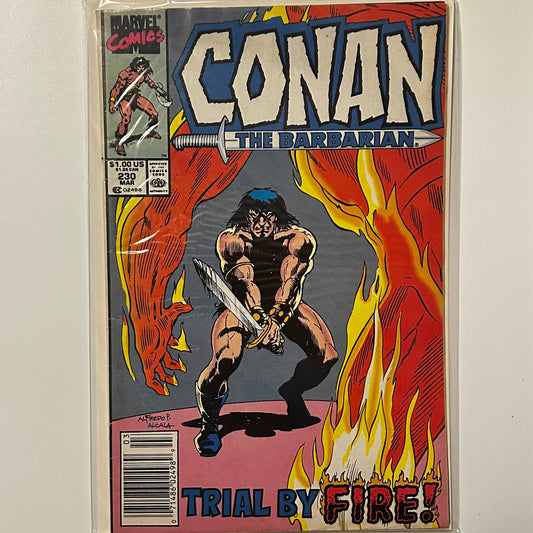Conan the Barbarian #230 Newsstand