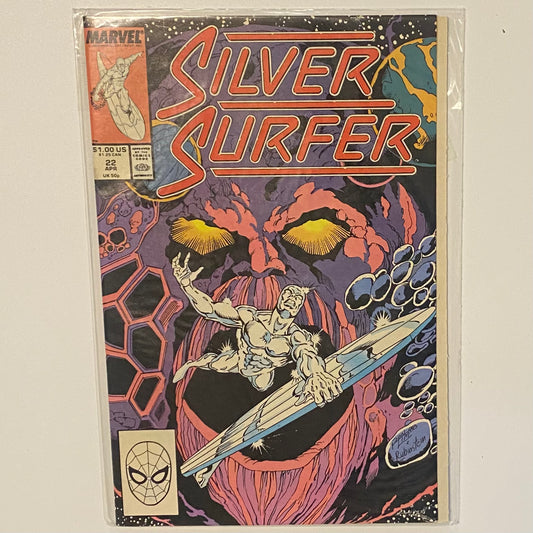 Silver Surfer #22