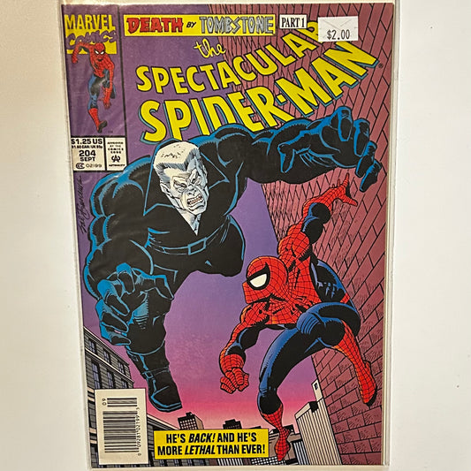 The Spectacular Spider-Man #204 Newsstand