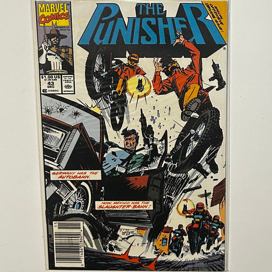 The Punisher #43 Newsstand