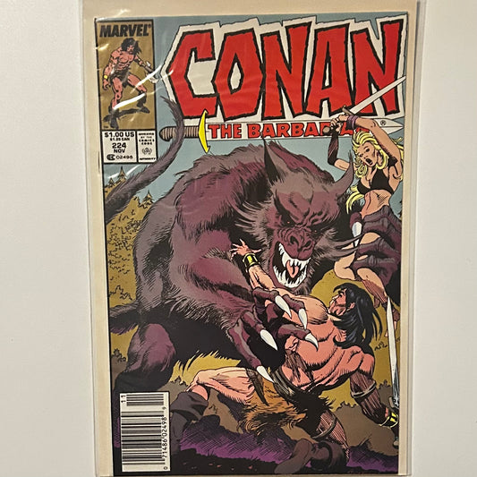 Conan the Barbarian #224 Newsstand