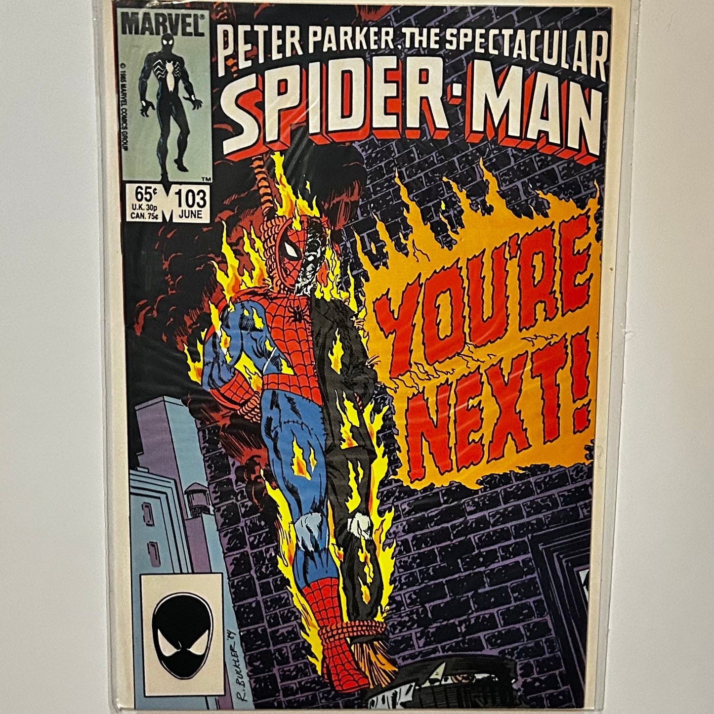 The Spectacular Spider-Man #103