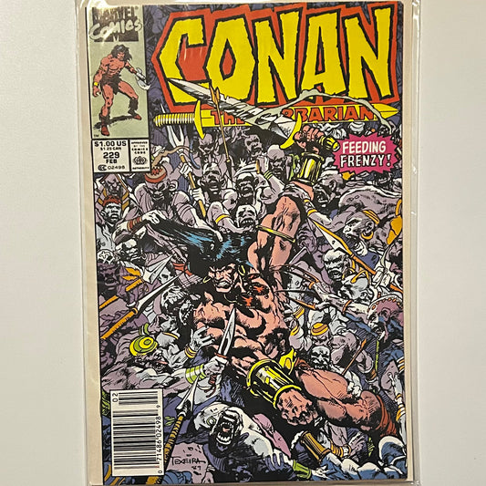 Conan the Barbarian #229 Newsstand