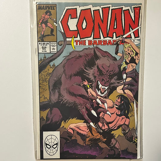 Conan the Barbarian #224