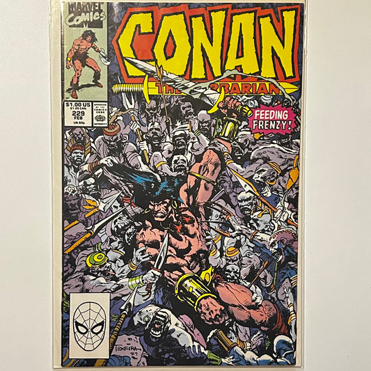 Conan the Barbarian #229
